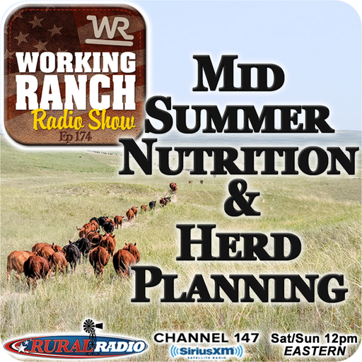 Ep 174: Mid-Summer Nutrition & Cow Herd Planning cover art