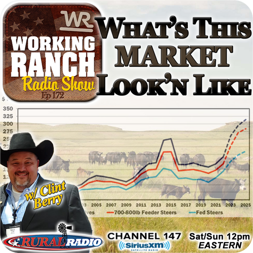 Ep 172: What’s This Fall Cattle Market Gonna Look Like w Clint Berry cover art