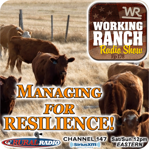 Ep 178: Managing For Resilience! cover art