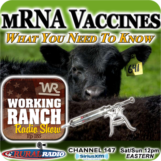 Ep 185: mRNA Vaccines... What You Need To Know cover art