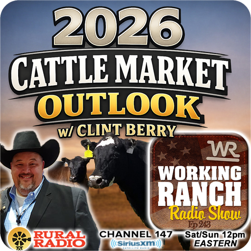 Ep 243: 2026 Cattle Market Outlook w/ Clint Berry cover art