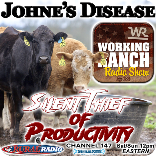 Ep 188: Johne’s Disease… the “Silent Thief of Productivity”! cover art