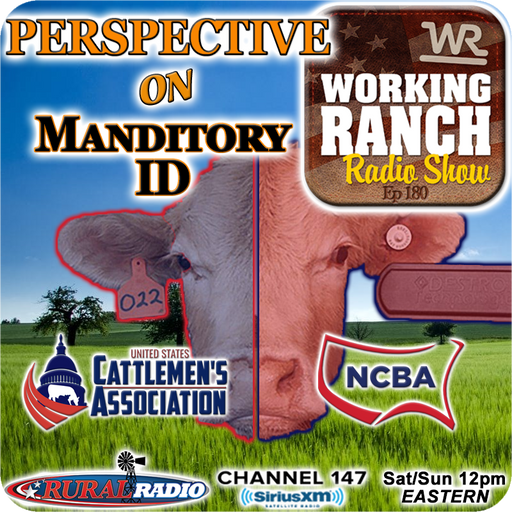 Ep 180: Mandatory Animal ID: Two Industry Groups’ Perspective cover art