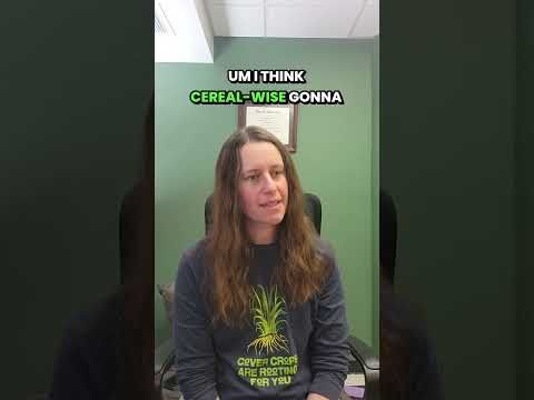 AgEmerge Podcast 186 with Lisa Kissing Kucek | Cereal Rye Remains the Cover Crop Champion cover art