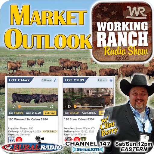 Ep 221: Week in the Rockies Recap: Key Takeaways & Market Outlook w/ Clint Berry cover art