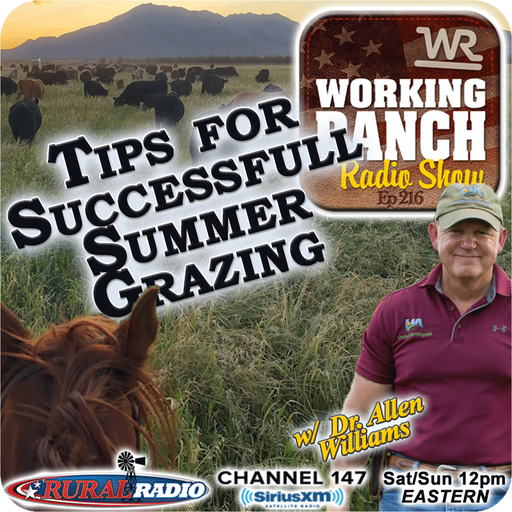 Ep 216: Tips for Successful Summer Grazing w/ Dr. Allen Williams cover art