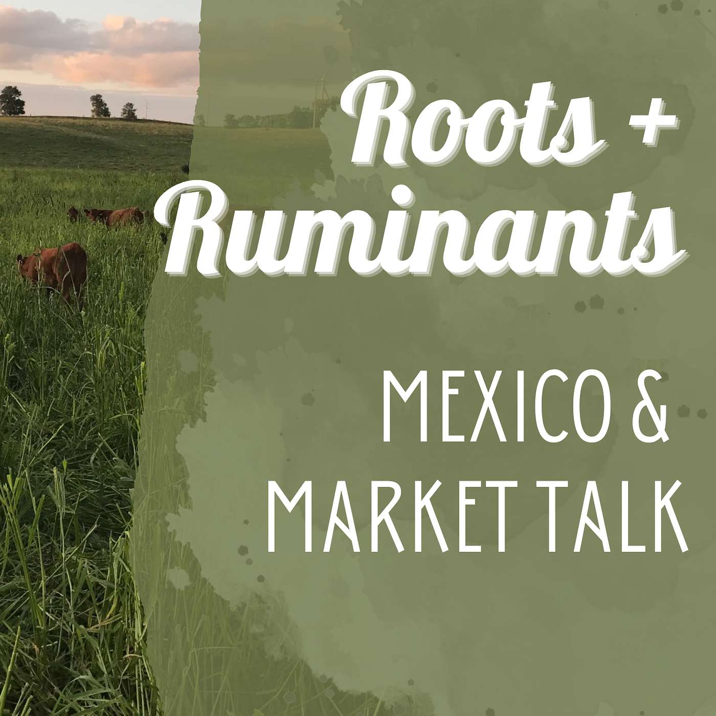 Mexico & Market Talk cover art