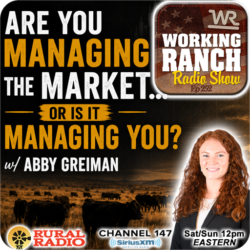 Ep 252: Are You Managing the Market… or Is It Managing You? w/ Abby Greiman cover art