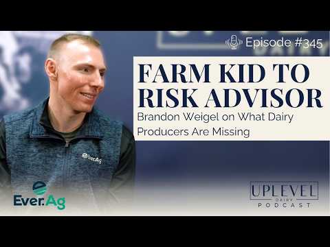 345 | From Farm Kid to Risk Advisor | Brandon Weigel on What Dairy Producers Are Missing