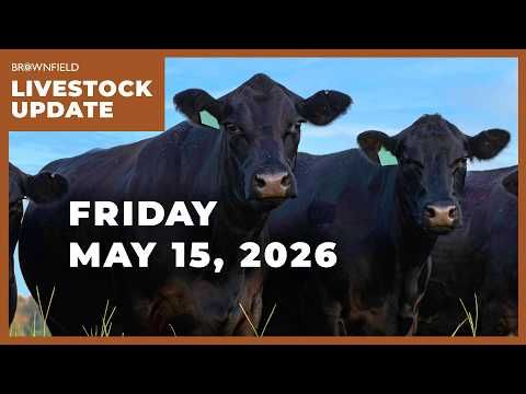 Cattle prices moved higher this week | Weekly Livestock Market Update cover art