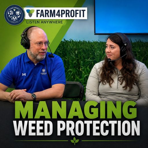 What’s Working in Ag: Weed Pressure & Fungicide Strategy cover art