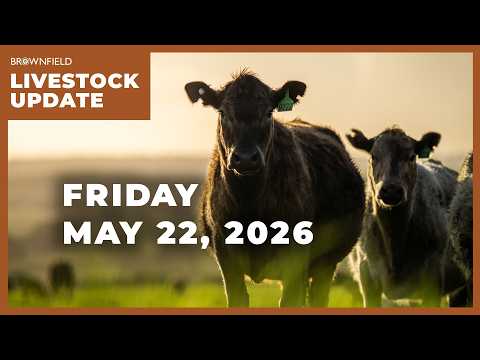Placements up 6% in latest Cattle on Feed report | Weekly Livestock Market Update