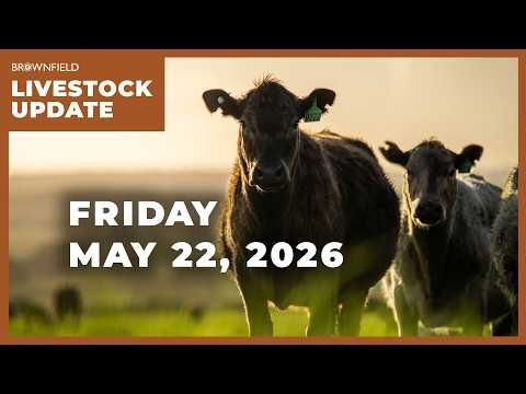 Placements up 6% in latest Cattle on Feed report | Weekly Livestock Market Update cover art