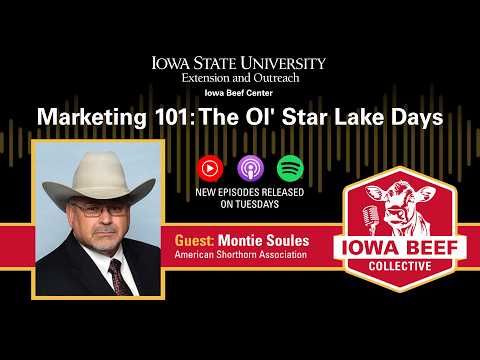 Marketing 101: The Ol’ Star Lake Days cover art