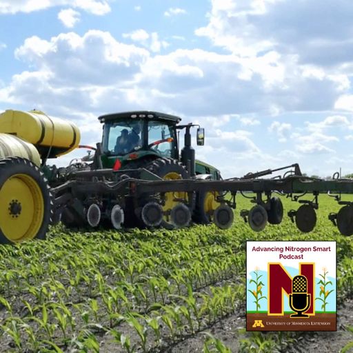 Sidedressing nitrogen: The rationale, past research & potential risks in split-applying cover art