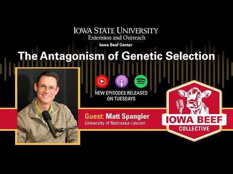 The Antagonism of Genetic Selection