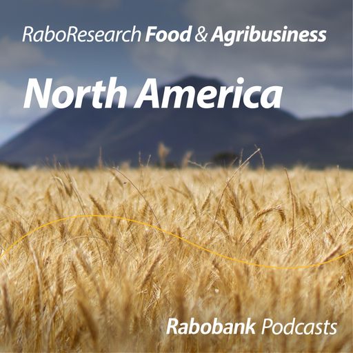 Southern Hemisphere grain and oilseed June update: Skyrocketing production costs and El Niño uncertainty cover art