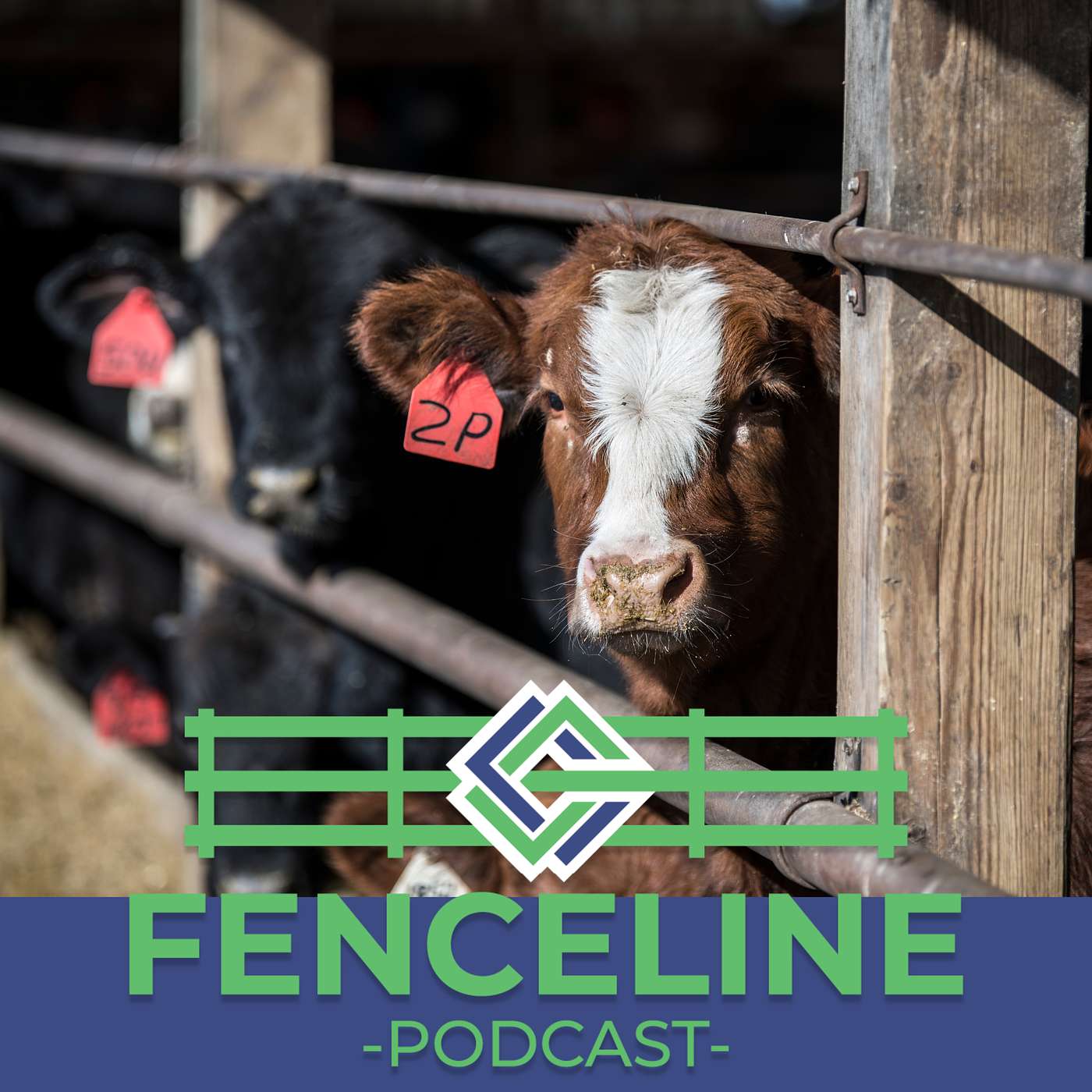 A to Z Feeders: Powered by Iowa‑Grown Corn cover art