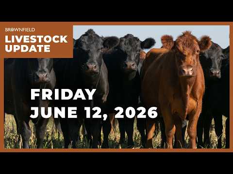 USDA lowers 2026 beef production | Weekly Livestock Market Update