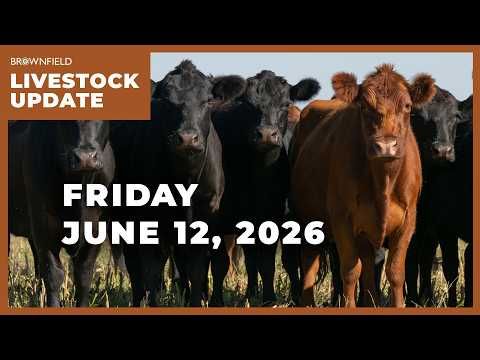 USDA lowers 2026 beef production | Weekly Livestock Market Update cover art