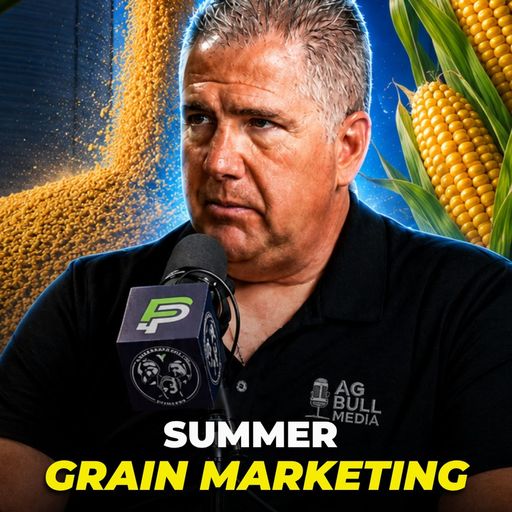 Bullish, Bearish, or Broke : Insights with Tommy Grisafi cover art