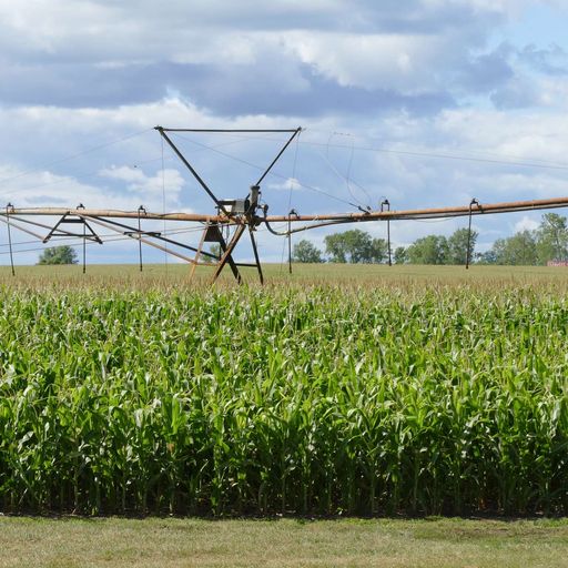 Irrigation practices in MN: Benefits and risks, partnerships & the importance of nutrient management cover art