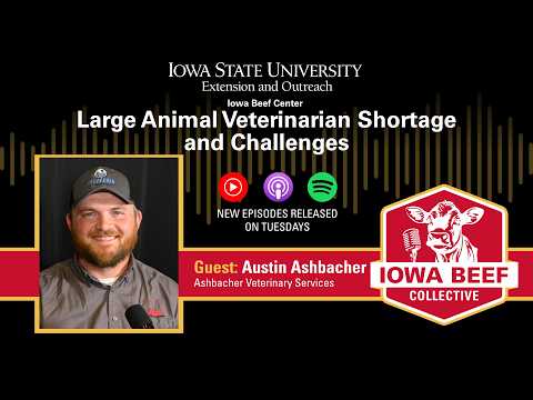 Large Animal Veterinarian Shortage and Challenges