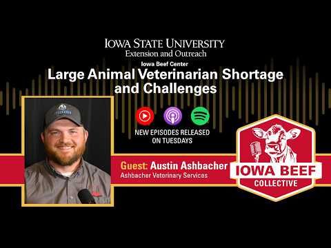 Large Animal Veterinarian Shortage and Challenges cover art