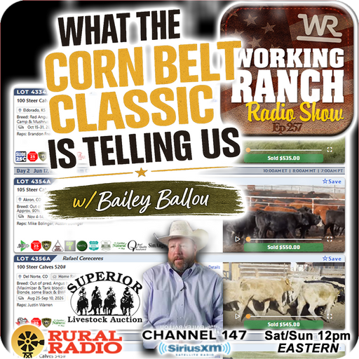 Ep 257: What the Corn Belt Classic Is Telling Us with Bailey Ballou cover art
