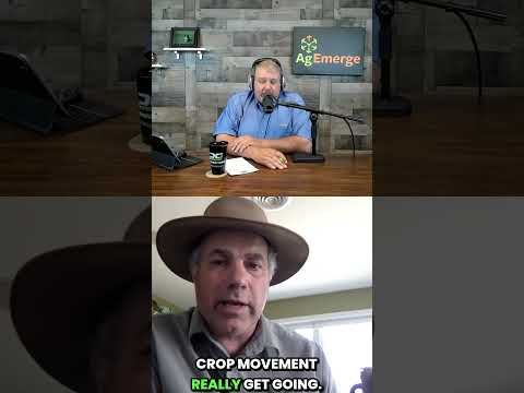 AgEmerge Podcast 191 with Steve Groff | Tillage Radish Sparks Cover Crop Frenzy cover art