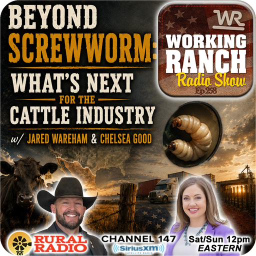 Ep 258: Beyond Screwworm: What's Next for the Cattle Industry Featuring Jared Wareham & Chelsea Good cover art