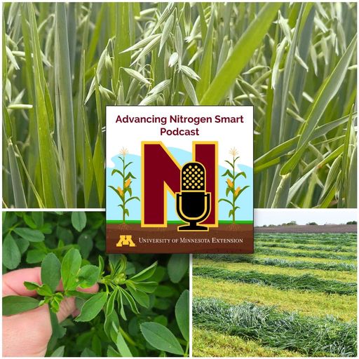 Nitrate reduction with perennials: Possible candidates, strategies, & benefits cover art