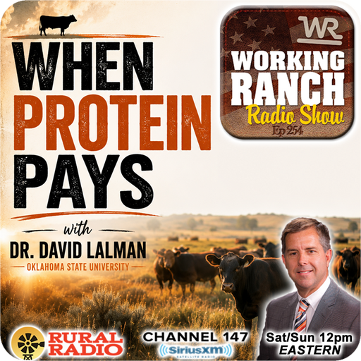 Ep 259: When Protein Pays with Dr. David Lalman cover art