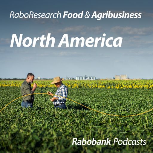 Northern Hemisphere grains & oilseeds update, July 2026 cover art