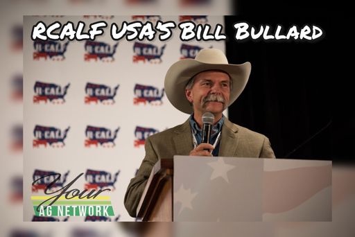 RCALF USA’s Bill Bullard on Brazilian Tariffs, USMCA Renegotiation and Packer Investigation cover art
