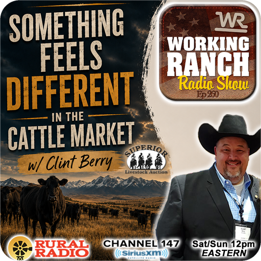 Ep 260: Something Feels Different in the Cattle Market w/ Clint Berry cover art