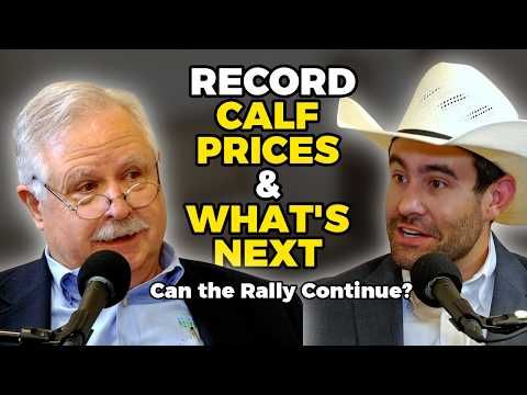 Record Calf Prices & What's Next cover art