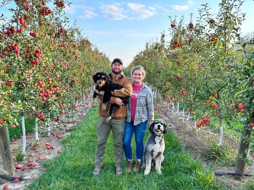 529 Brittany & Calvin Beasley Have Apple Cannons cover art