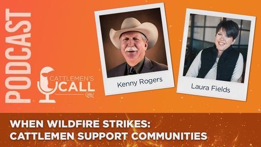 When Wildfire Strikes: Cattlemen Support Communities cover art