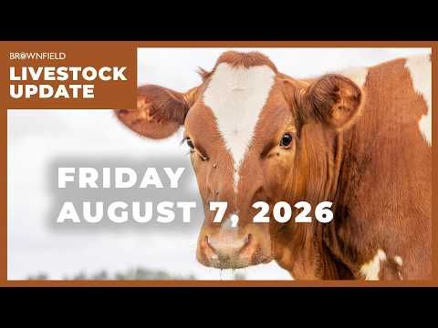 Cash cattle market finds some footing | Weekly Livestock Market Update cover art