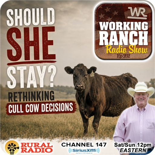 Ep 262: Should She Stay? Rethinking Cull Cow Decisions w/ Dr. Ron Gill cover art