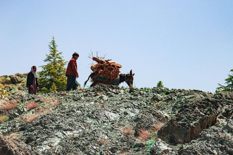 photo