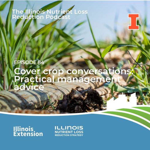 Episode 84 | Cover Crop Conversations: practical management advice cover art