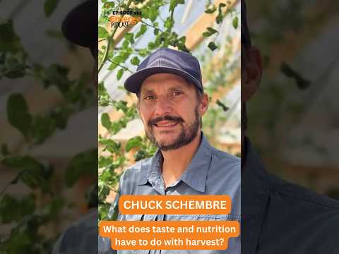 Nutrient Density and Harvest Timing Decides Food Taste? | Chuck Schembre Talks About Food Quality