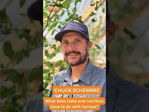 Nutrient Density and Harvest Timing Decides Food Taste? | Chuck Schembre Talks About Food Quality cover art