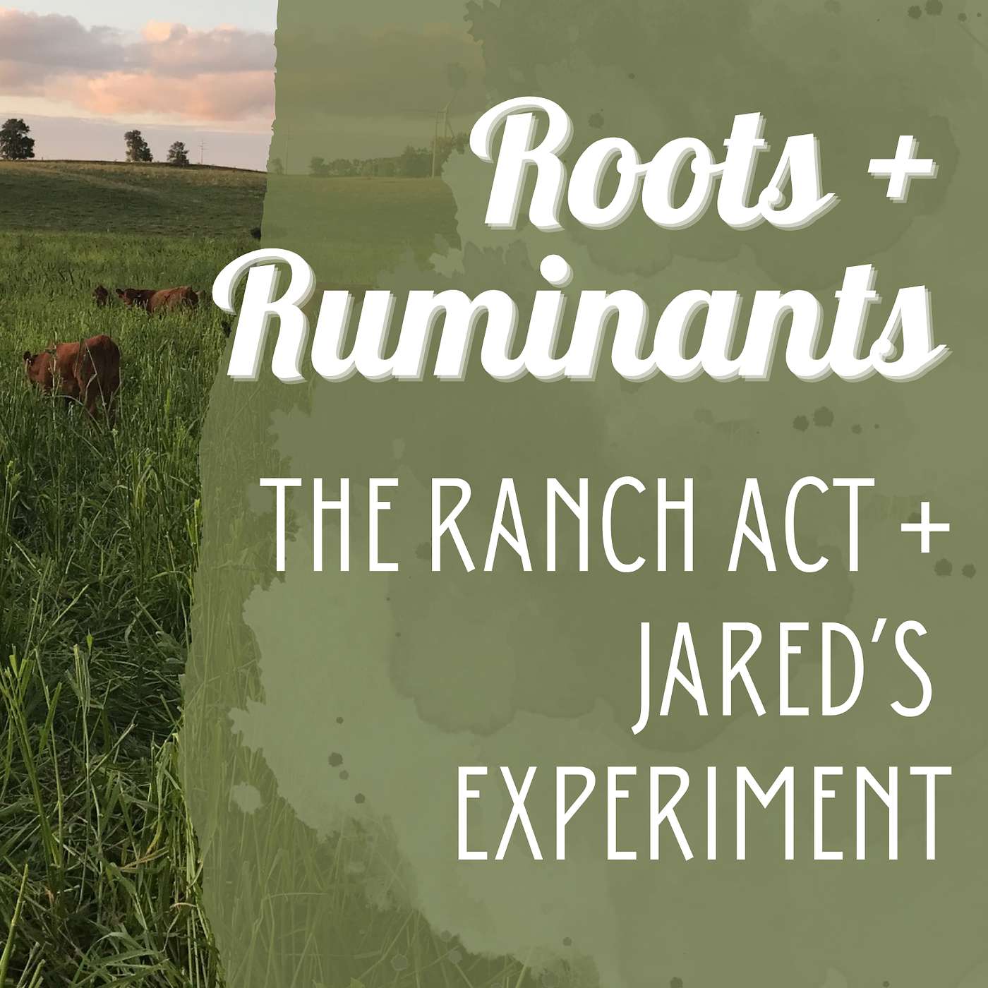 An intro to the RANCH Act, plus Jared’s twin calves experiment cover art