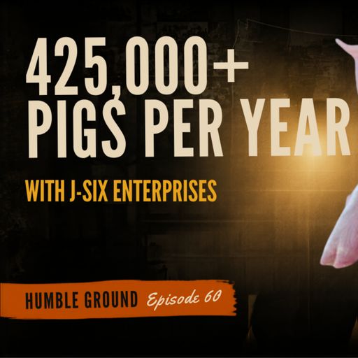 What It Takes to Market 425,000 Pigs Every Year cover art