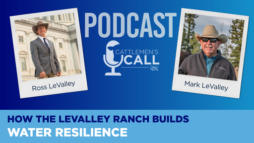 How the LeValley Ranch Builds Water Resilience cover art