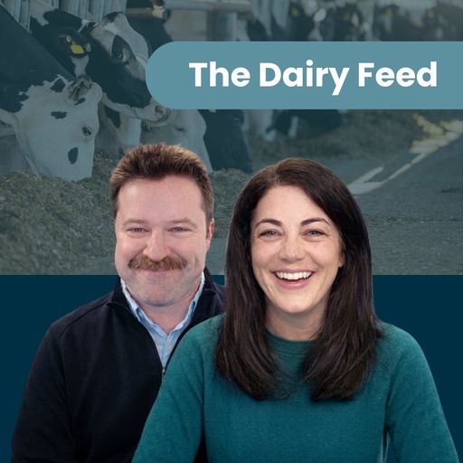 The Dairy Feed: Managing Dairy Margins - Feed Inflation, Milk Prices & Risk Defense cover art