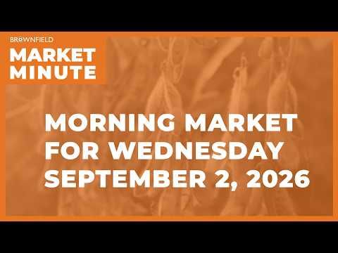 Corn was lower overnight | Morning Market Minute cover art